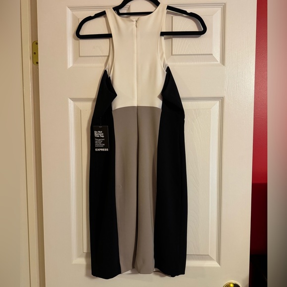 Express Colorblock Dress - Picture 4 of 4